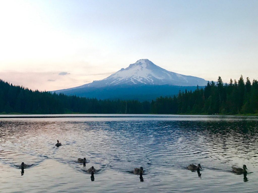 mt_hood_quackery